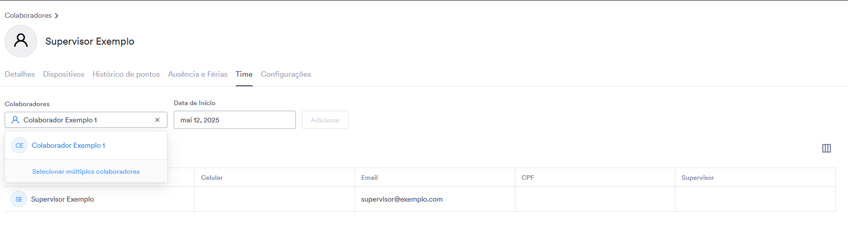Colaborador Adicionando.png
